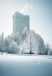 frozen world