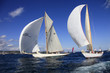 Voiles de Saint-Tropez