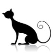 black cat silhouette