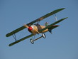 Foto: Albatros DV Albatros DV