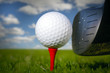 Golf club and ball in grass Golf club and ball in grass