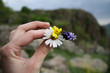 Flowers in Hand