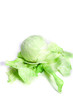 Cabbage