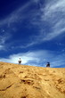 Photo en ligne au meilleur prix dune a fraser