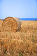 Stacks of straw