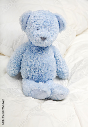 Photo: Teddy bear Teddy bear