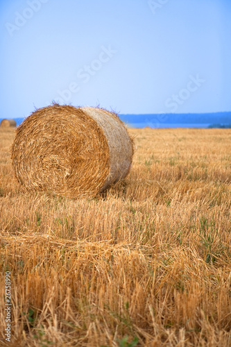 Photo: Stacks of straw Stacks of straw