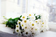 Photo: Bunch of camomile flowers Bunch of camomile flowers