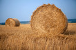 Stack of hay