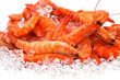 Prawns on Ice Prawns on Ice