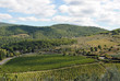 Toskana - Weinberge