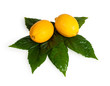 Yellow lemon with green leaf.