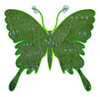 Papillon vert