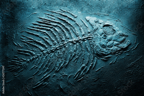 Photo: Closeup of big fish skeleton fossils on bottom of sea Closeup of big fish skeleton fossils on bottom of sea