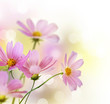 Beautiful Floral Border.Flower design