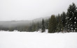 Winter scene Winter scene