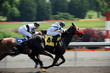 Horse Race