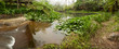 panoramic view of garden with morning fog in background