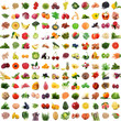 frrutta e verdura full collage