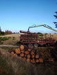 Travaux forestiers