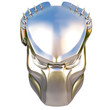 mask