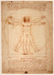 Léonard de Vinci - L'uomo vitruviano