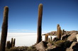 Photo en ligne au meilleur prix salar d'uyuni 3