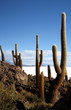 Photo en ligne au meilleur prix salar d'uyuni 8
