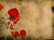 Grunge Flower background Grunge Flower background