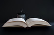 aufgeschlagenes Buch low key aufgeschlagenes Buch low key