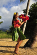 hula girl dancing
