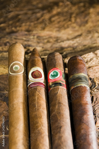 Photo: hand rolled nicaraguan cigars on tobacco leaf hand rolled nicaraguan cigars on tobacco leaf