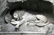 Leon de lucerna II