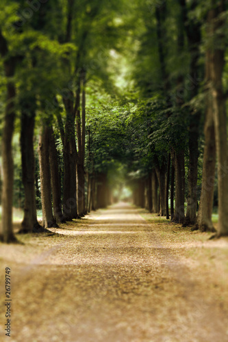 Photo: Allee Allee