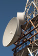 antena 5