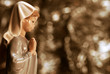 virgen maria