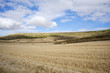 Campo dopo la mietitura