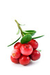cowberry