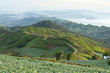 Mountain landscape, agriculture on the mountain,