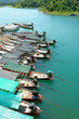 Long-tail boat parked in a row to stay Chiew Lan Dam. Surat Than