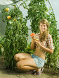 girl picking tomato