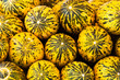 Yellow Water Melons