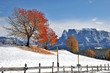 inverno in Alto Adige inverno in Alto Adige