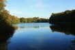See im Wald
