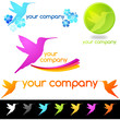 logo colibri logo colibri