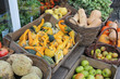 Vegetable display store with pumpkins adn squash Vegetable display store with pumpkins adn squash