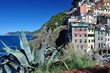 Riomaggiore, Cinque Terre, Italy