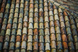 old tiled roof
