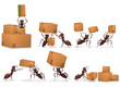 package delivery mail order package delivery mail order