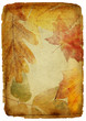 vintage autumn framed background